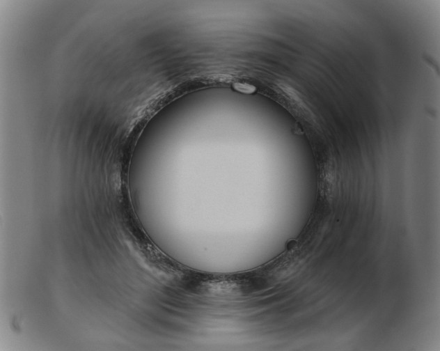 X0000103420500200809191641