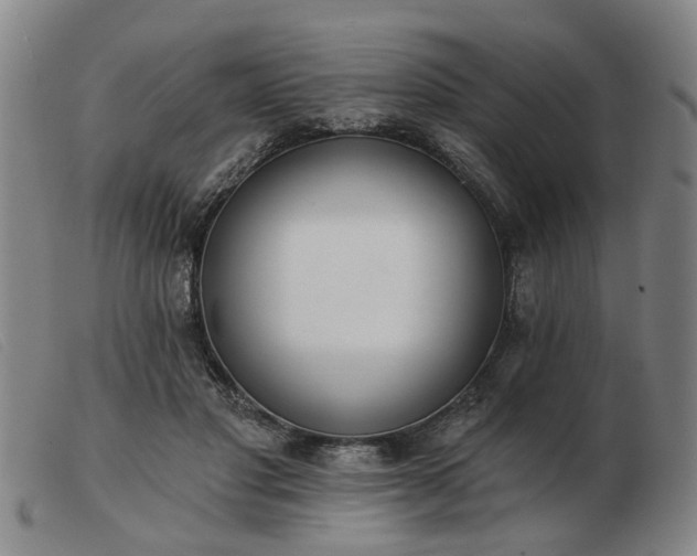 X0000103420501200809191641