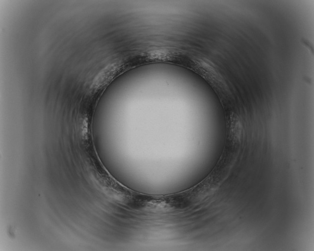 X0000103420502200809191641