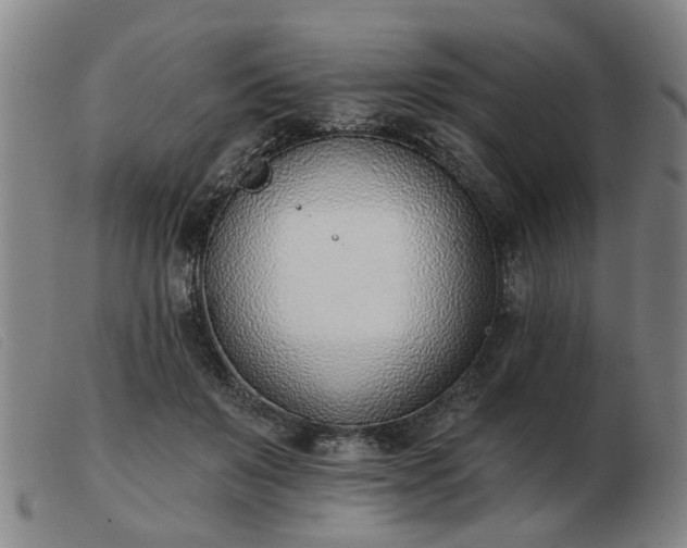 X0000103420503200809191641