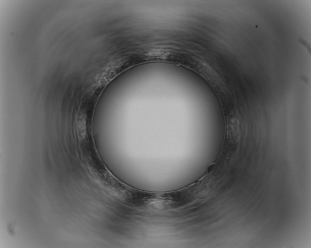 X0000103420504200809191641