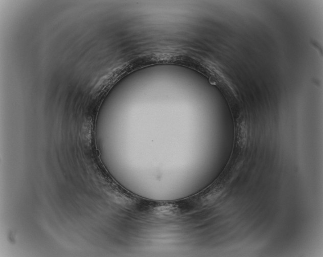 X0000103420505200809191641