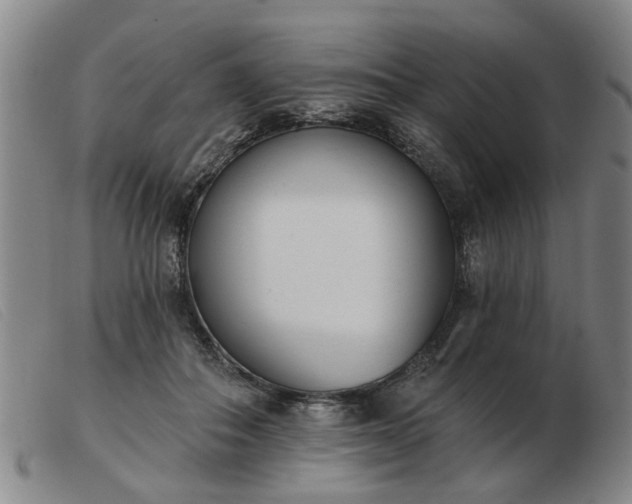 X0000103420506200809191641