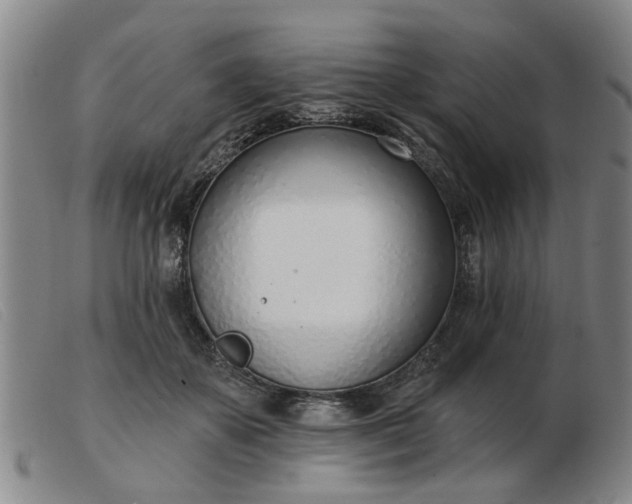 X0000103420507200809191641
