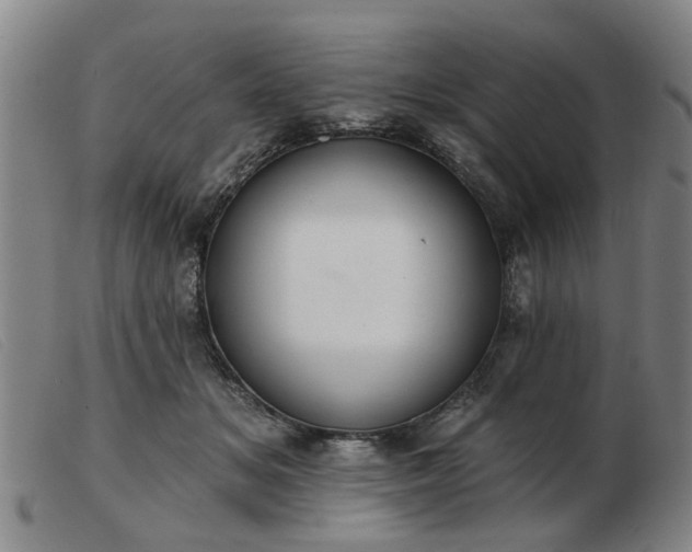X0000103420509200809191641