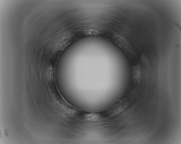 X0000103420511200809191640