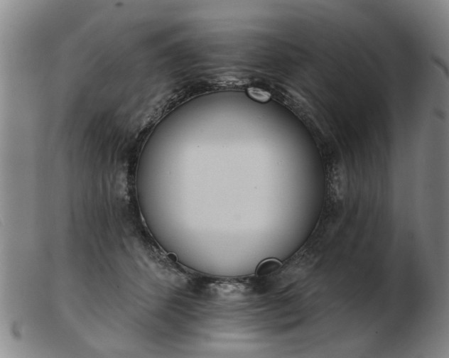 X0000103420512200809191640