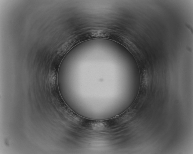 X0000103420513200809191640