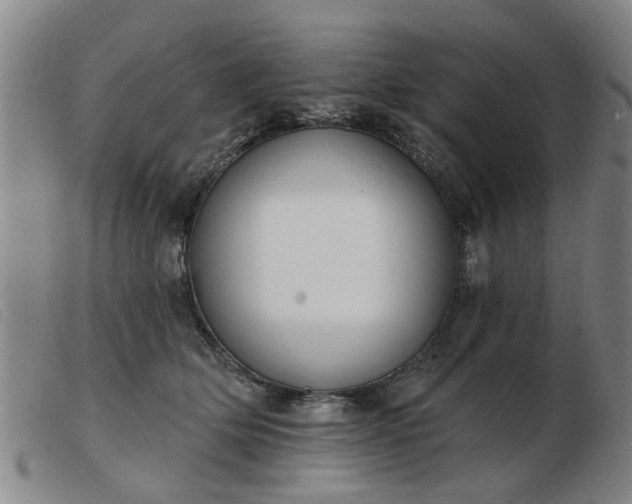 X0000103420514200809191640