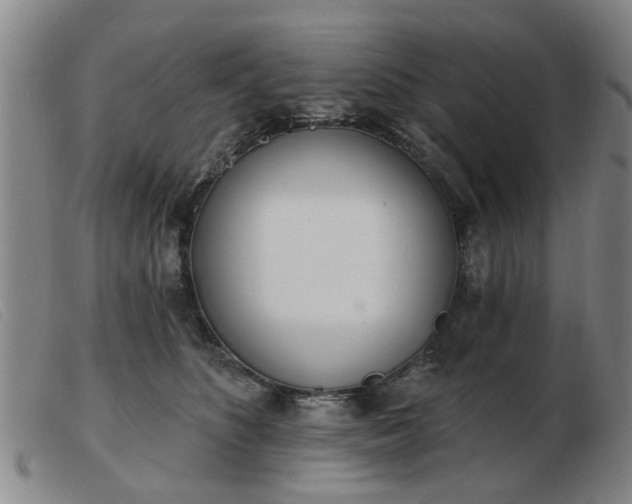 X0000103420516200809191640