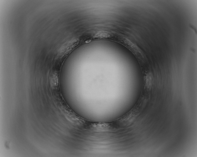 X0000103420517200809191640