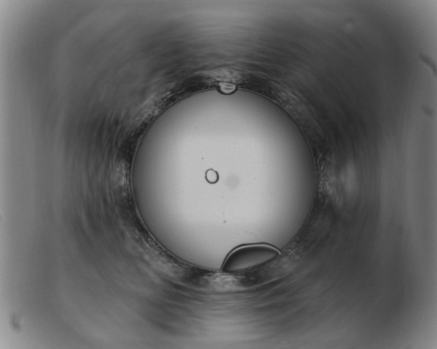 X0000103420518200809191640