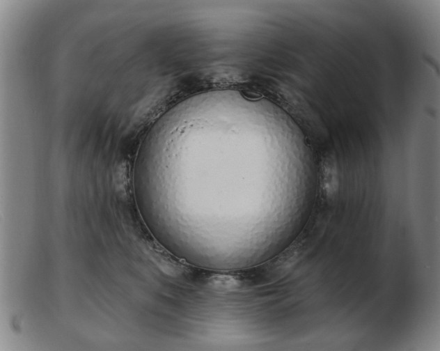 X0000103420519200809191640