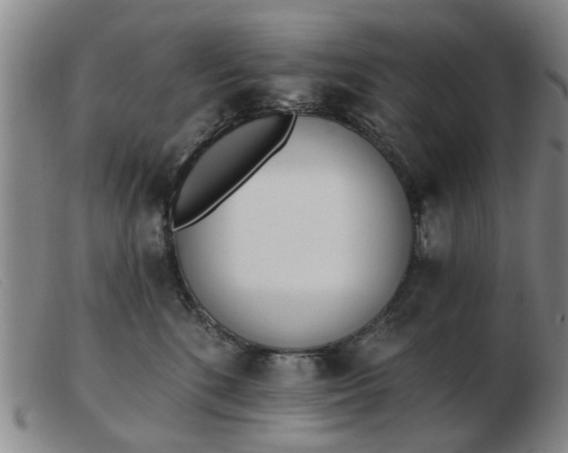 X0000103420520200809191640