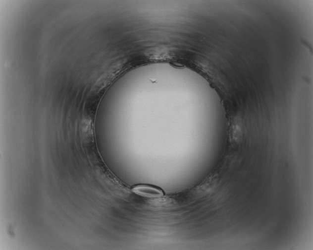 X0000103420521200809191640