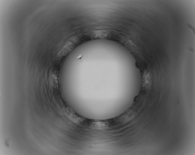 X0000103420522200809191640