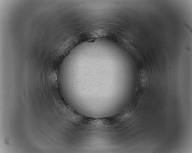 X0000103420523200809191640