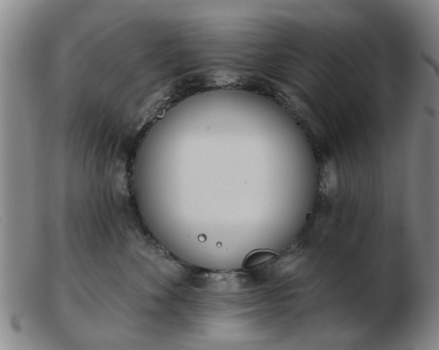 X0000103420524200809191640