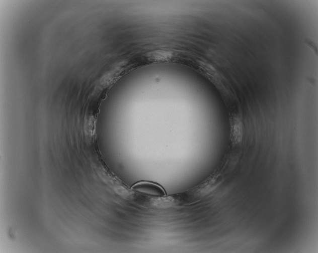 X0000103420525200809191640