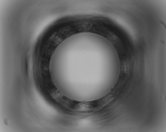 X0000103420526200809191640