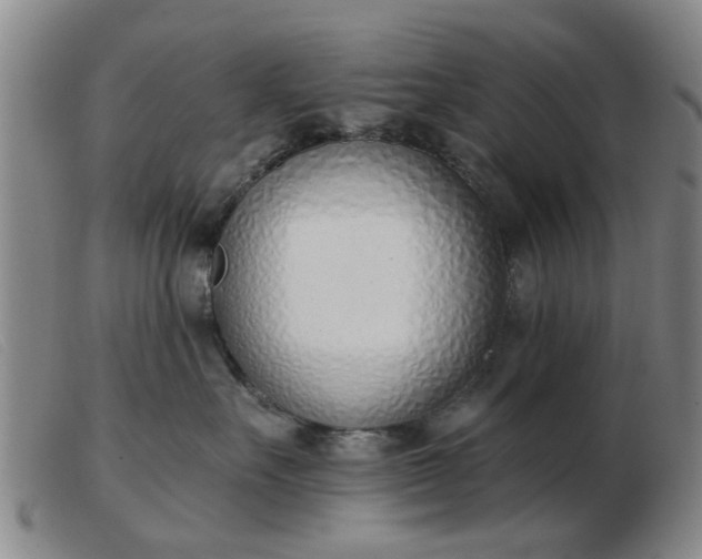 X0000103420527200809191640