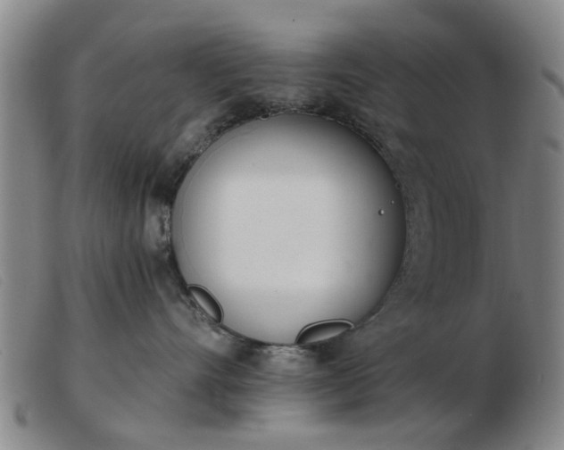 X0000103420528200809191640