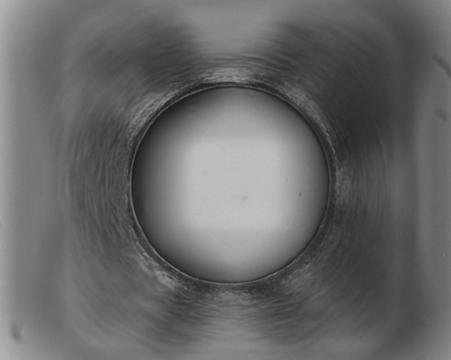 X0000103420529200809191640