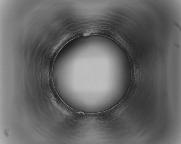 X0000103420530200809191640