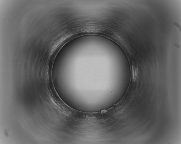 X0000103420531200809191640
