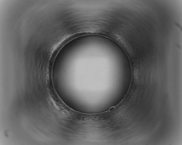 X0000103420532200809191640