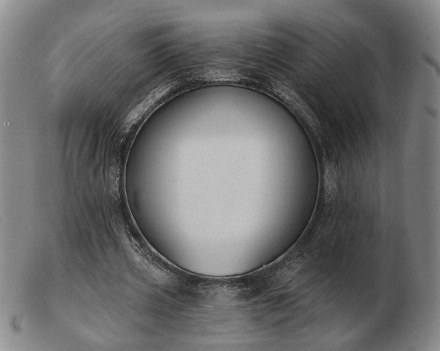 X0000103420533200809191640