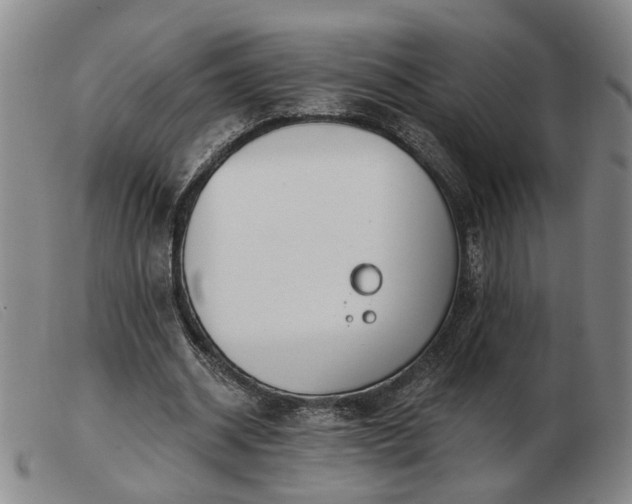 X0000103420534200809191640