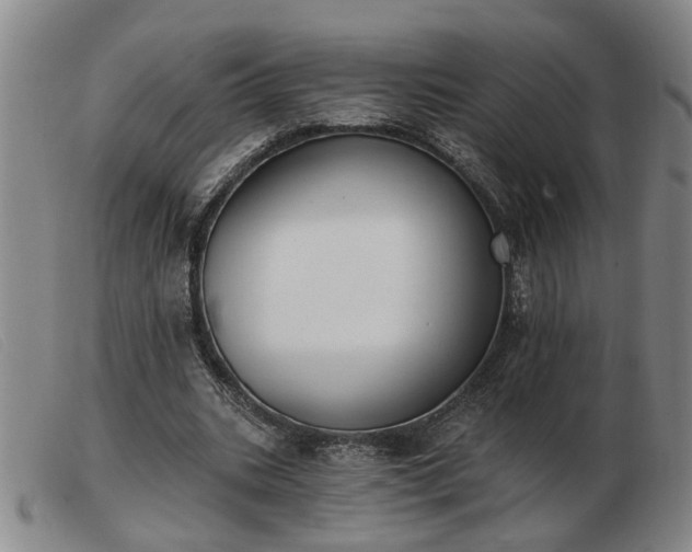 X0000103420535200809191640