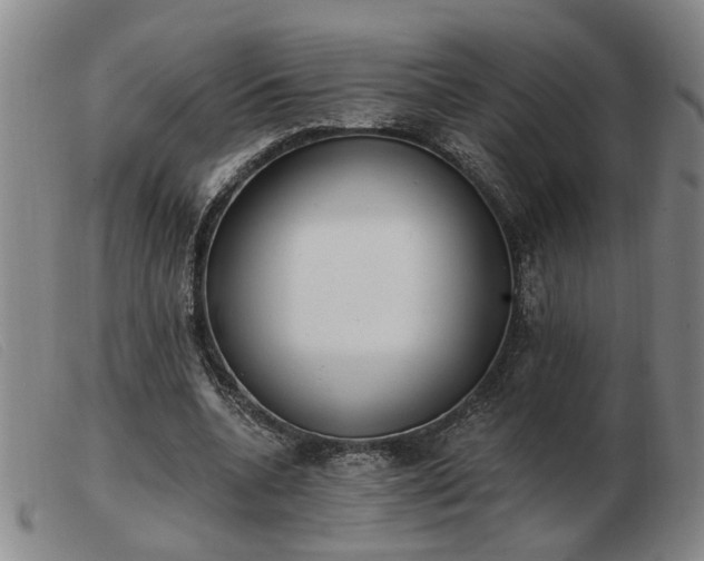 X0000103420536200809191640