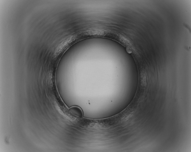 X0000103420538200809191640