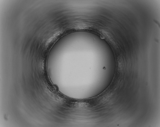 X0000103420539200809191640