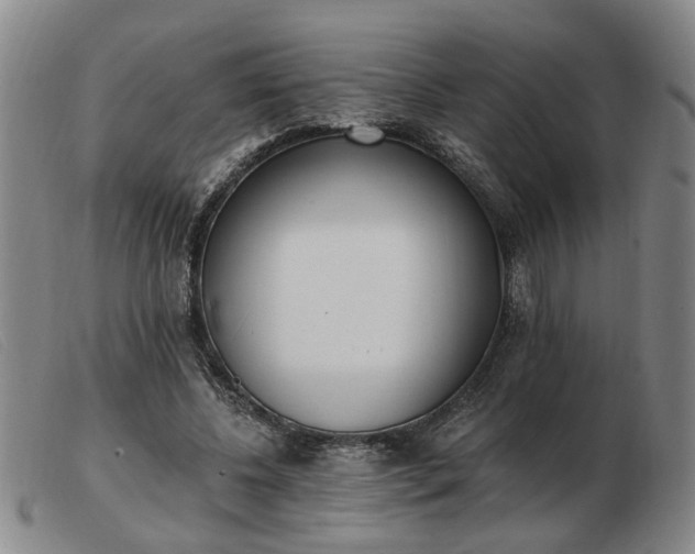 X0000103420540200809191640