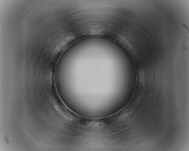 X0000103420542200809191640