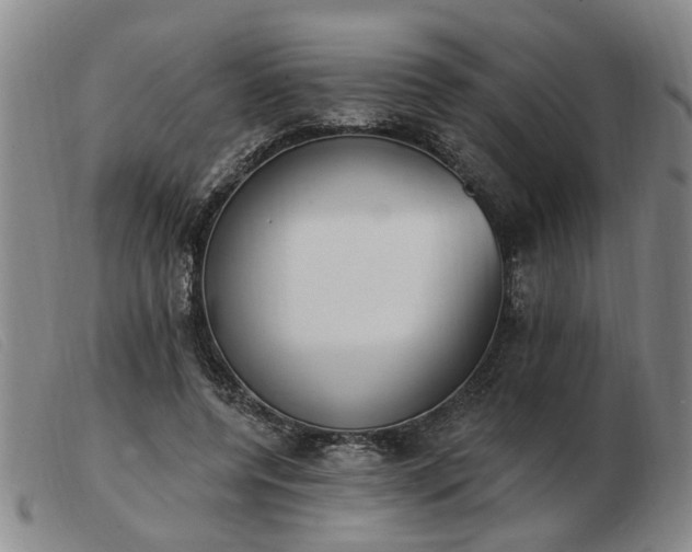 X0000103420544200809191640