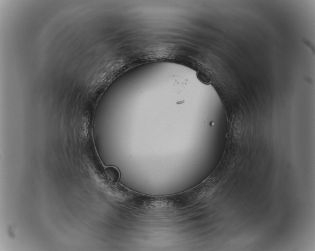 X0000103420546200809191640