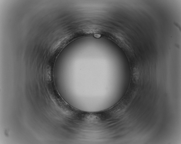 X0000103420547200809191640