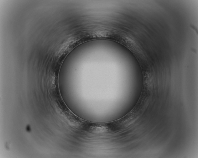 X0000103420548200809191640