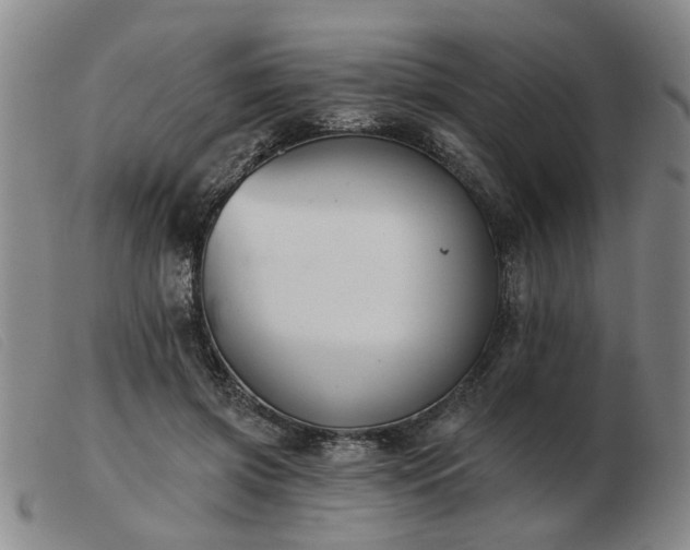 X0000103420549200809191640