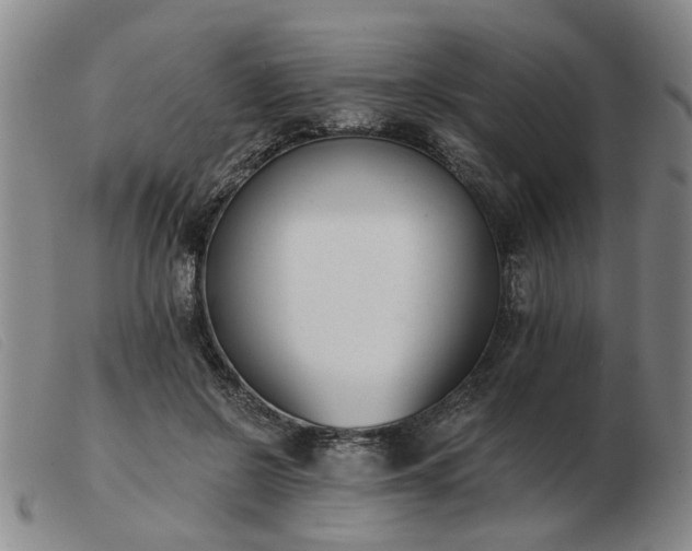 X0000103420550200809191640