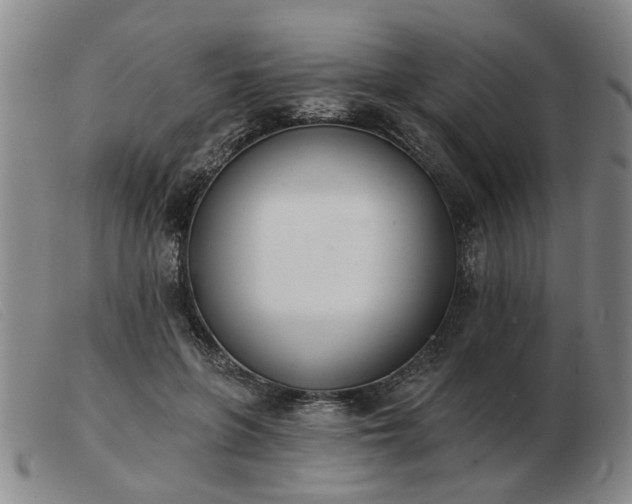 X0000103420551200809191640