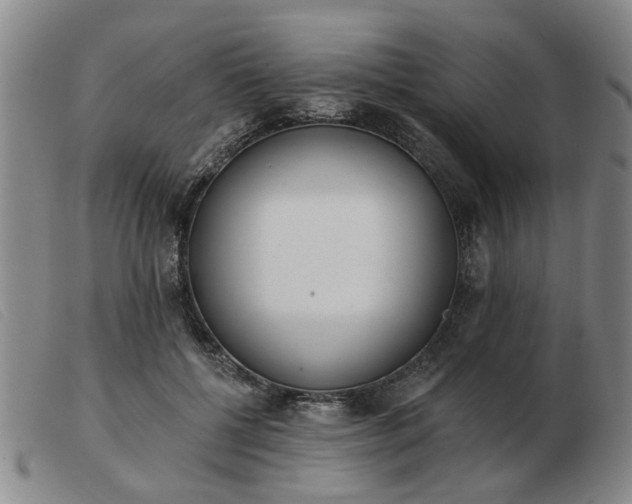 X0000103420552200809191640