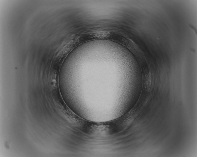 X0000103420553200809191640