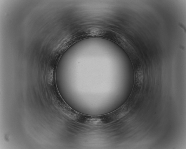 X0000103420554200809191640