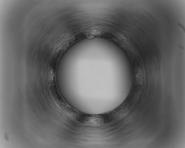 X0000103420555200809191640