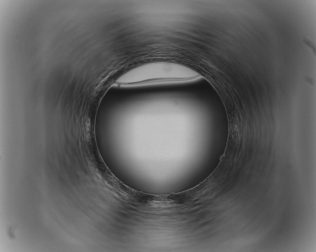 X0000103420556200809191640